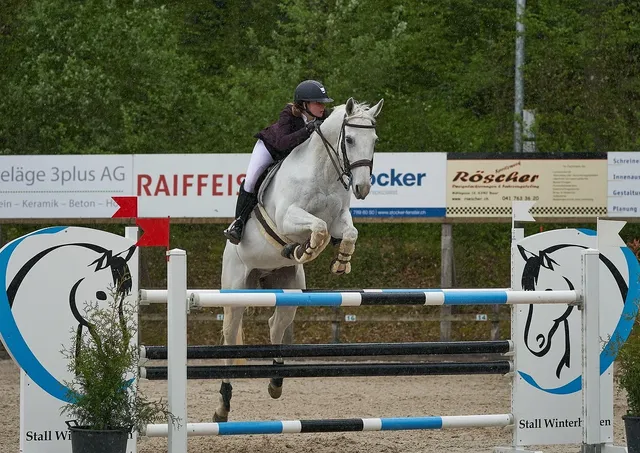 BC ROUNDNET ASSOCIATION